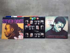 Nine Synth and Pop vinyl records - 2