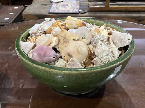 Collection of seashells in a green ceramic bowl.