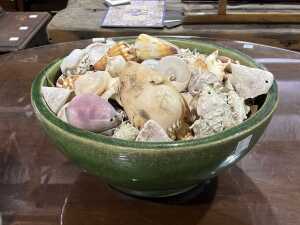 Collection of seashells in a green ceramic bowl.