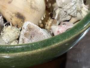 Collection of seashells in a green ceramic bowl. - 4