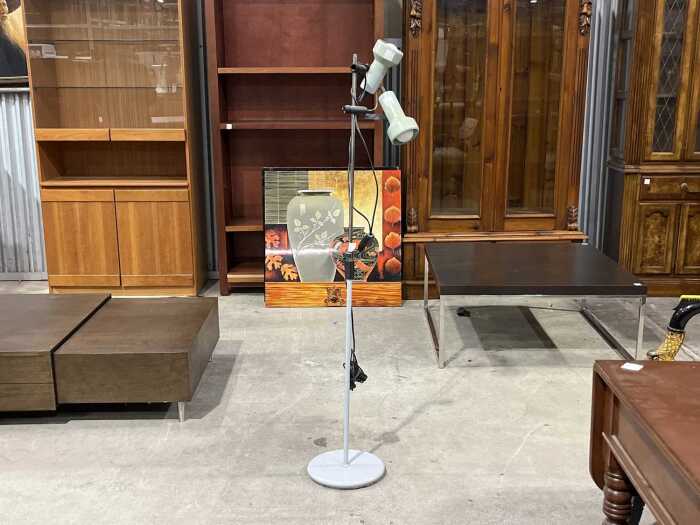 Twin head standard floor lamp