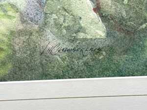 L. H. Chamberlain, roses. Watercolour painting on paper - 4