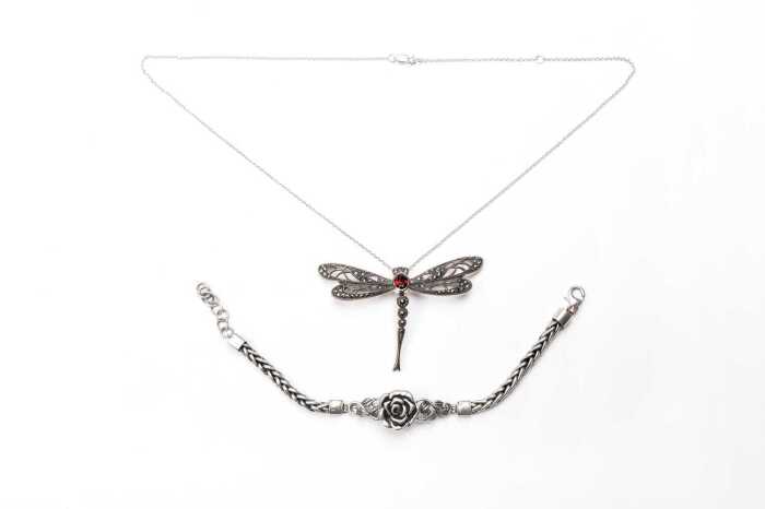 A bracelet and a dragon fly necklace/brooch in sterling silver