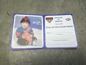 Ashton-Drake 'Timmy, the little Essendon Bomber' doll - 3