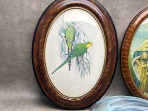 Pair of oval picture frames with convex glass - 3