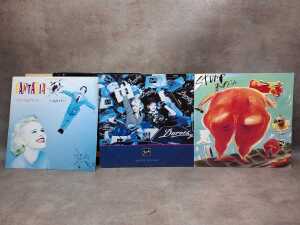 Eleven 12" vinyl singles - 4