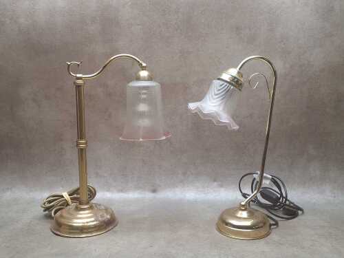 Two goose neck desk lamps
