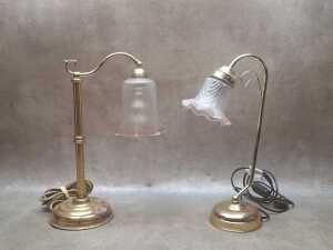 Two goose neck desk lamps