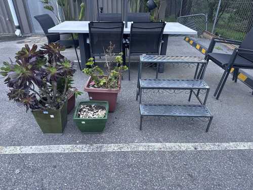 Four potted plants with metal plant stand