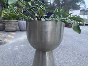 Stainless steel planter with plant - 3