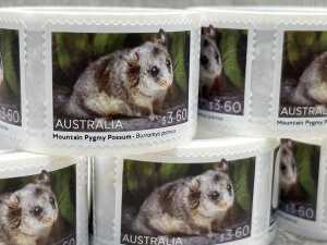 Group of Australian stamps - 2