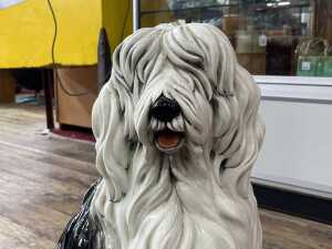 Italian glazed ceramic English Sheepdog figure - 3