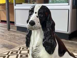 Italian glazed ceramic Cocker Spaniel dog figure - 3