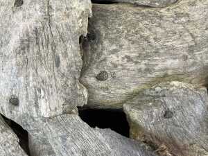 Spherical sculpture of driftwood - 4