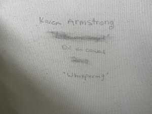 Karen Armstrong, Joyful and Whispering (2). Two oil paintings on canvas - 5