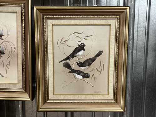 Helen Picton (w. 1960s), Willie Wagtail (sic). Oil painting on board