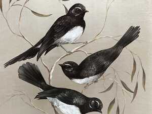 Helen Picton (w. 1960s), Willie Wagtail (sic). Oil painting on board - 2