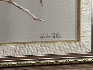 Helen Picton (w. 1960s), Willie Wagtail (sic). Oil painting on board - 3