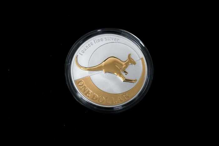 2004 Kangaroo silver proof coin, 1oz