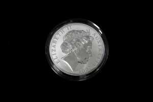 2004 Kangaroo silver proof coin, 1oz - 2