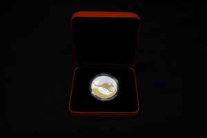 2004 Kangaroo silver proof coin, 1oz - 3