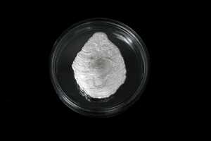Republic of Palau, Oyster, silver proof coin, 25g - 2