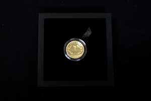 Australian sovereign, 2021 gold proof coin, 15.98g - 3