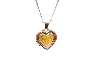 A resin heart locket on necklace in 9 carat yellow gold
