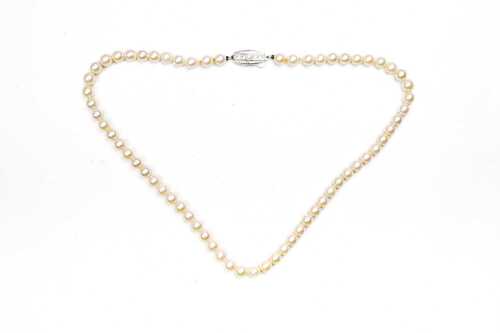A strand of vintage Mikimoto pearls to a sterling silver clasp.