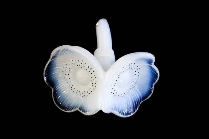 Lalique Anemone opalescent crystal bottle stopper