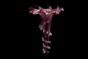 Victorian cranberry glass single trumpet epergne - 2