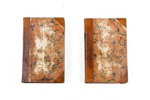 Original publication of Catherine George Ward's 'The Rose of Claremont' over two volumes, c. 1821