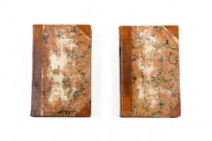 Original publication of Catherine George Ward's 'The Rose of Claremont' over two volumes, c. 1821