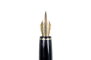 Waterman fountain pen - 3