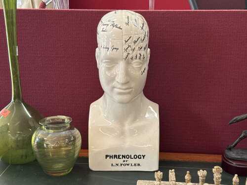Ceramic phrenology bust