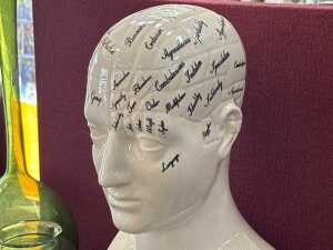 Ceramic phrenology bust - 2