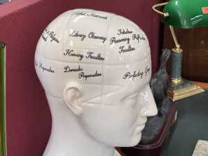 Ceramic phrenology bust - 3