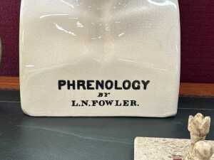 Ceramic phrenology bust - 4