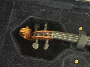 Raggetti Master Series model 6.2 violin, 2017 - 3