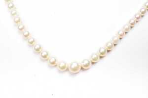A strand of graduated pearls to a silver clasp - 2