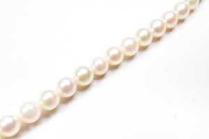 A strand of graduated pearls to a silver clasp - 3