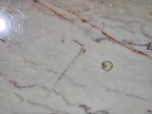 Onyx and brass round coffee table - 5