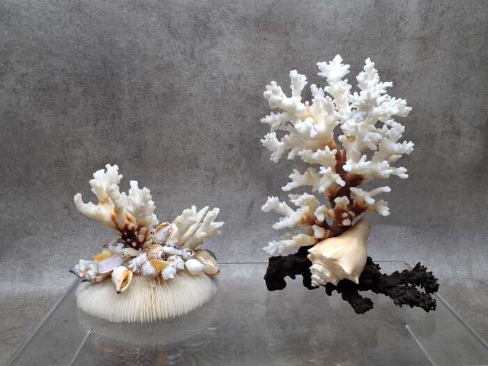Two decorative coral and shell sculptures