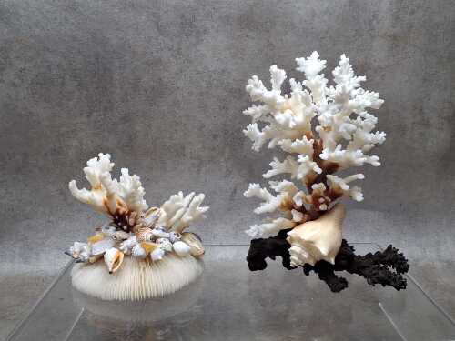 Two decorative coral and shell sculptures