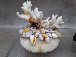 Two decorative coral and shell sculptures - 2