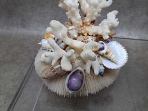 Two decorative coral and shell sculptures - 3