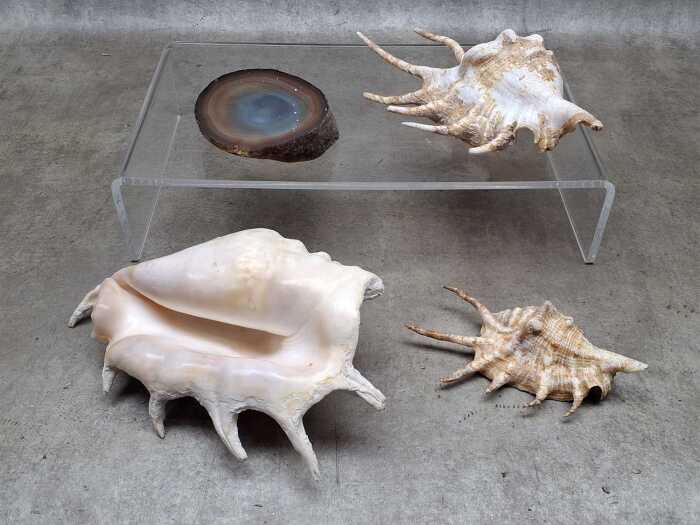 Four specimens