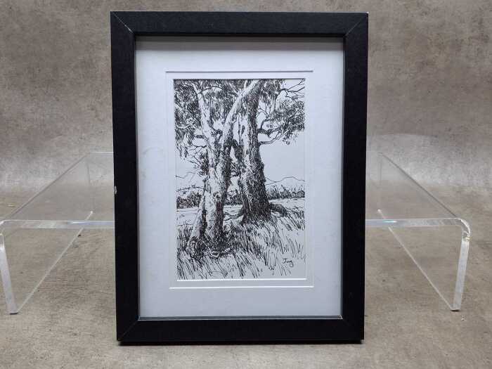 Jorg (artist unknown), (Two old gum trees in landscape) 2024, ink drawing on paper