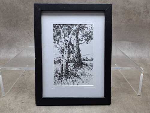 Jorg (artist unknown), (Two old gum trees in landscape) 2024, ink drawing on paper