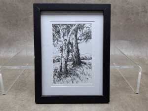 Jorg (artist unknown), (Two old gum trees in landscape) 2024, ink drawing on paper
